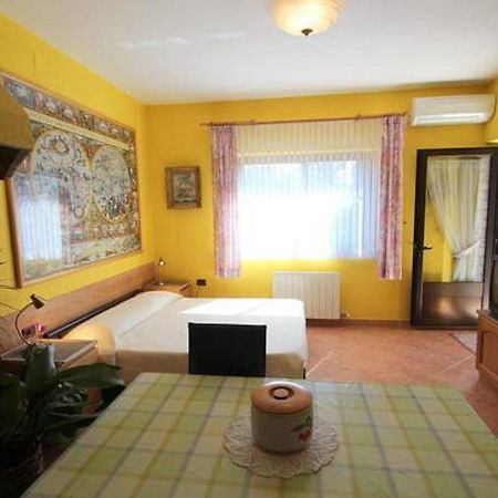 Apartments Daniela Novigrad  Room photo