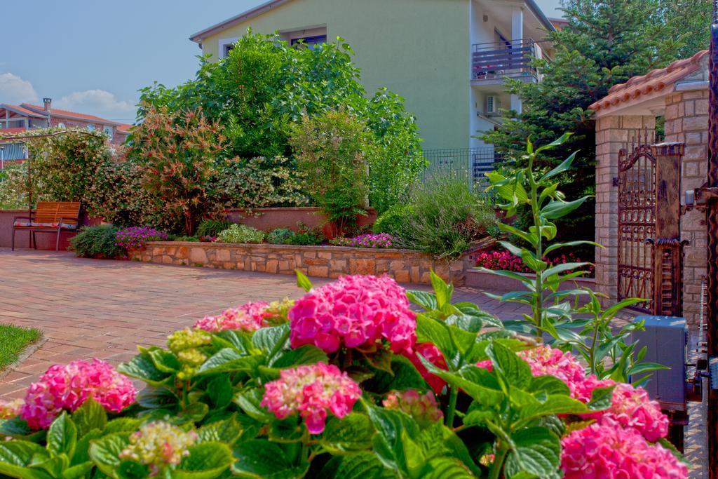 Apartments Daniela Novigrad  Exterior photo
