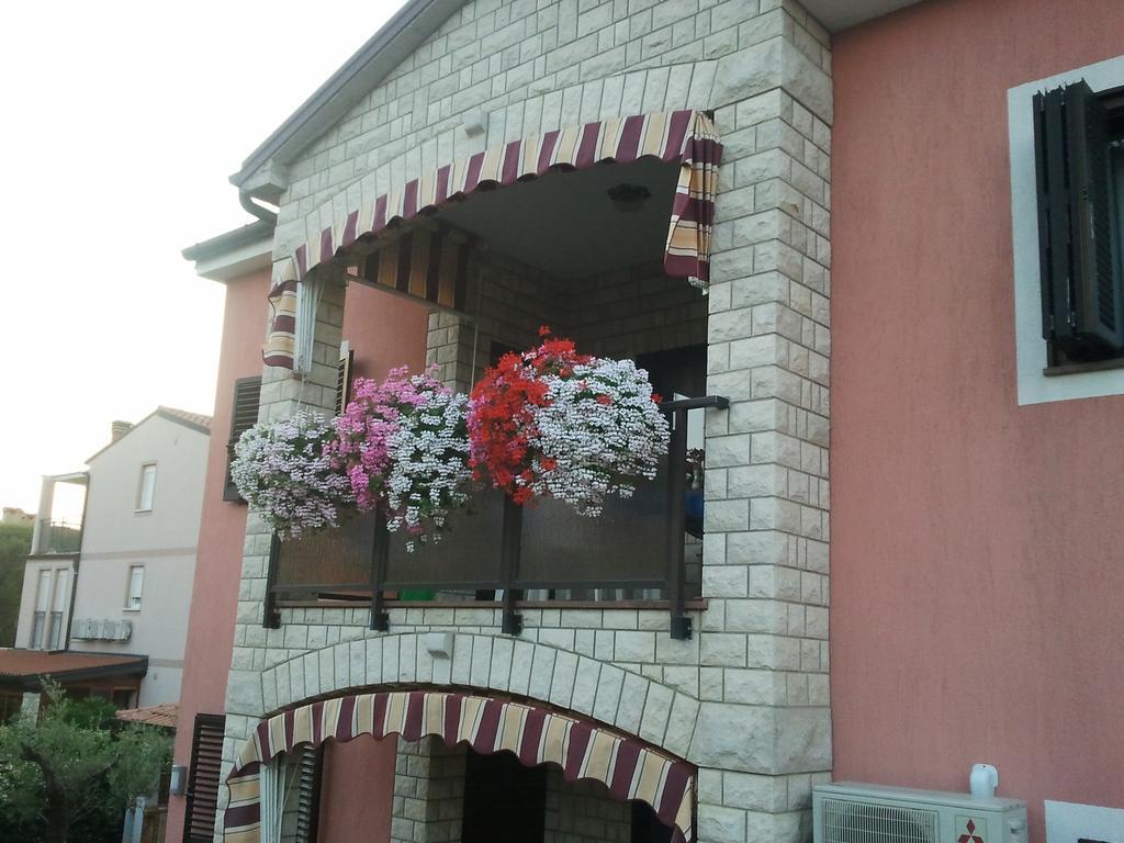 Apartments Daniela Novigrad  Exterior photo