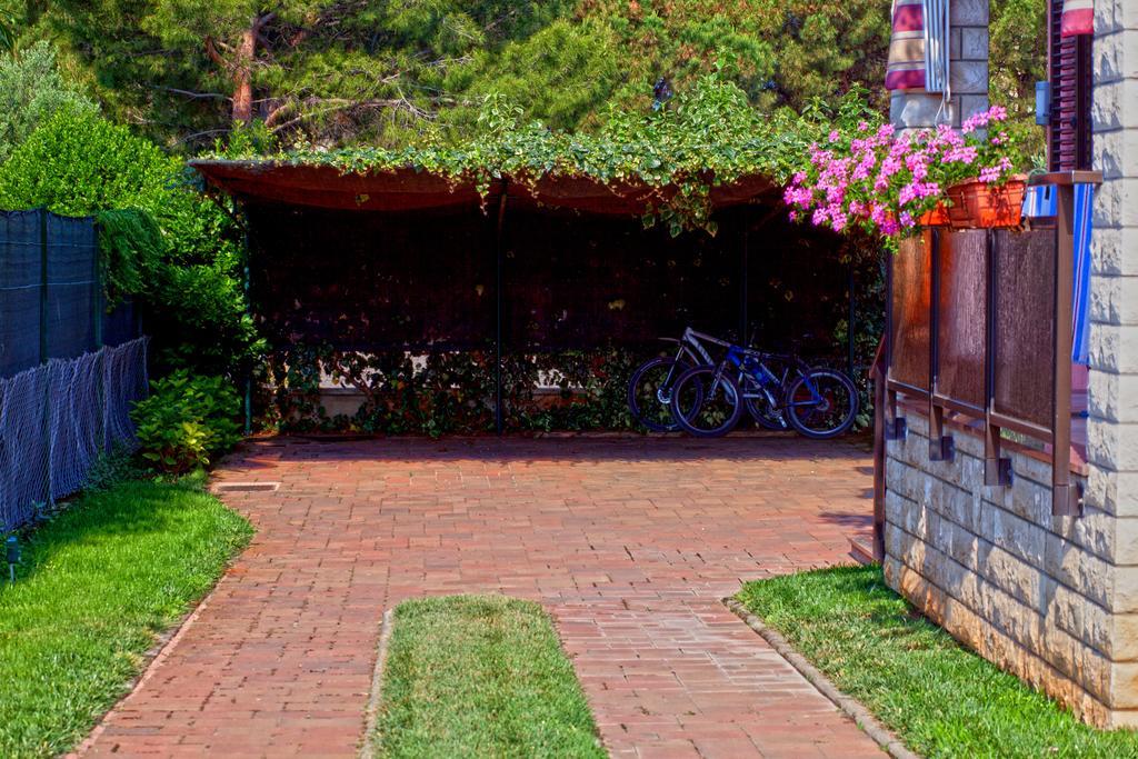 Apartments Daniela Novigrad  Exterior photo